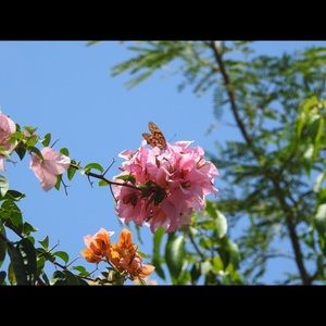 Meet your Posher, Robin